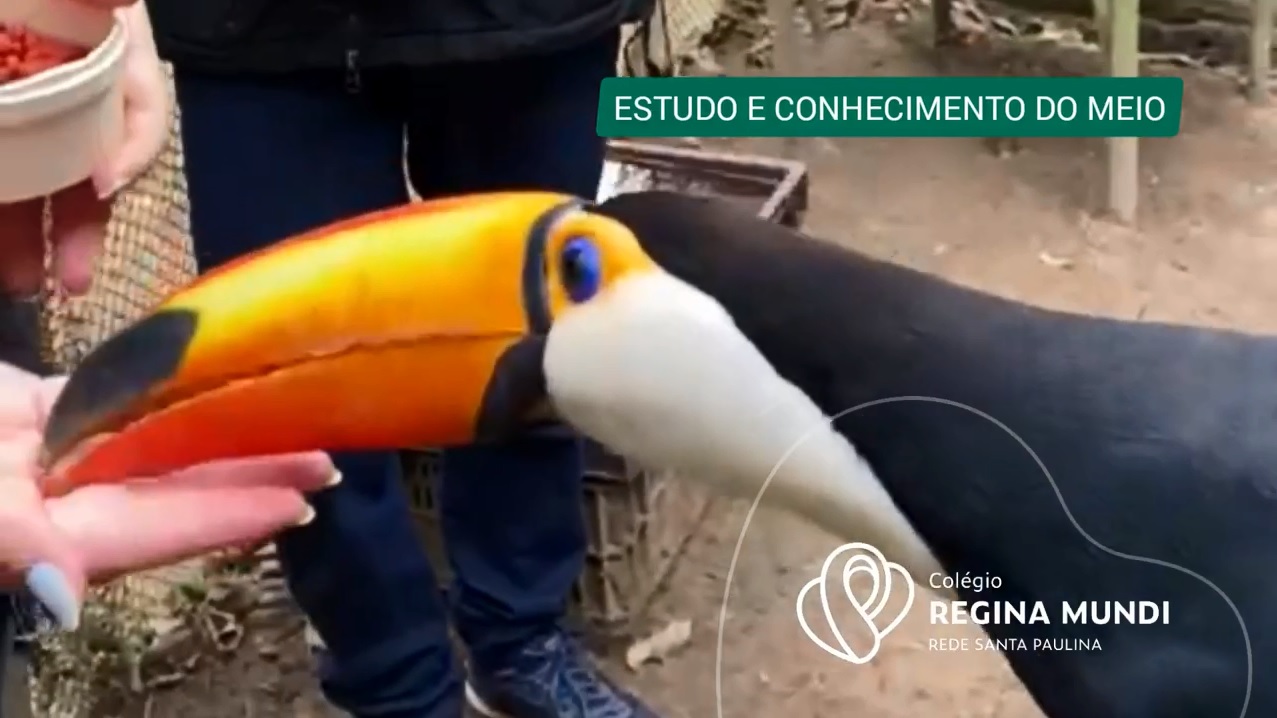 Estudo e Conhecimento do Meio – Bioparque Macuco