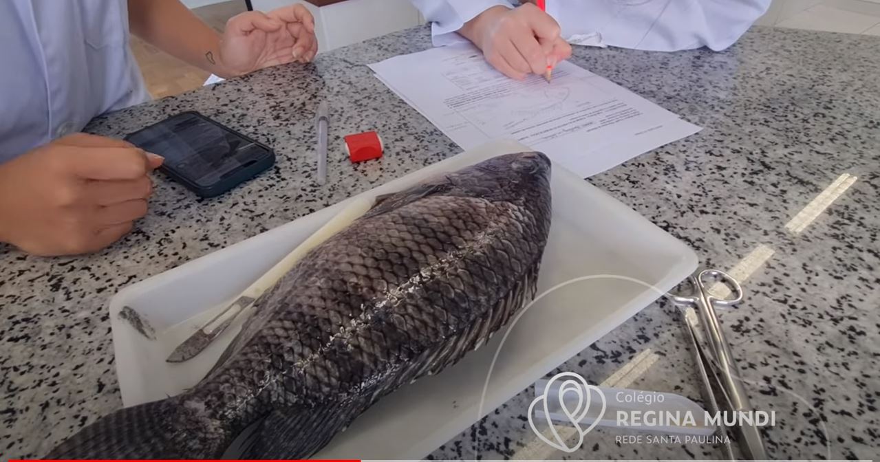 Aula prática de Biologia